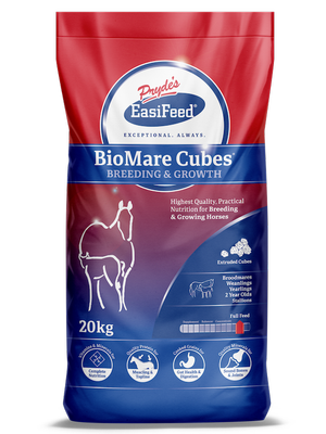 Prydes Bio Mare 20kg