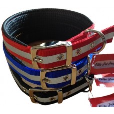 Elite Dog Collar Night Glo Padded 65cm