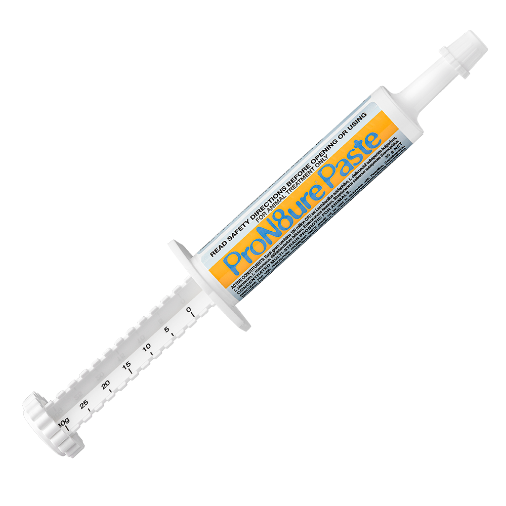 9333361002187_1.png Iah Pron8ure Paste 30g
