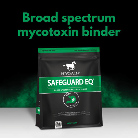 9342182001705_1.jpg Hygain Safeguard Eq 420g